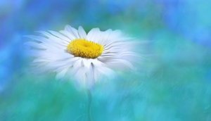 nature-3054737_960_720.jpg