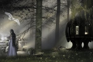 fantasy-4729820_960_720.jpg