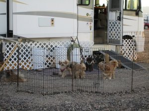 IMG_0434.JPG