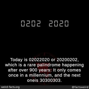 84050212_4139797129371280_575063036801318912_n.jpg