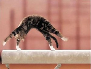 Acrobatic @.jpg