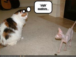 cat-does-not-like-nudists.jpg