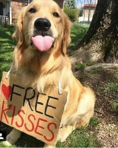 Kissable @.jpg