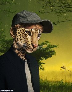 Leopard-Boy--138566.jpg