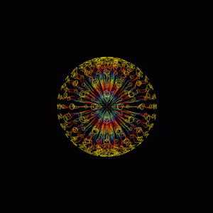 unnamed.gif