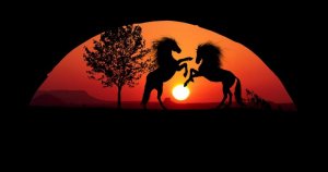 sunset-3926799_960_720.jpg