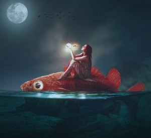 fish-4480032_960_720.jpg