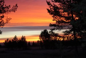 IMG_2363.jpg