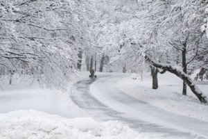 snowscene.jpg