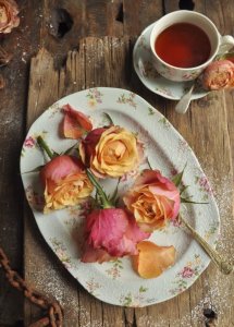Roses-1-732x1024.jpg