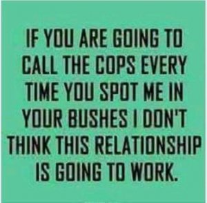 FB_IMG_15812110601515070.jpg