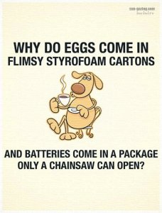 FB_IMG_15812111615497521.jpg