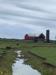 53172F3E-3D20-4EEA-9075-A4F9C335C61E.jpeg