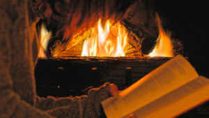 fireplace 2.gif
