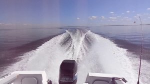 nice wake.jpg nice wake.jpg