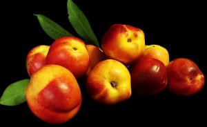 fruit-3910282_960_720.jpg