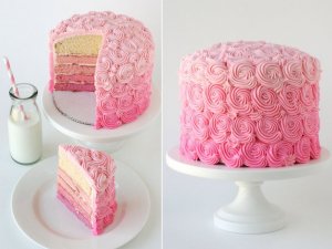 Pink Ombre cake.jpg