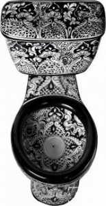 Black & White Mexican Porcelain Toilet.jpeg