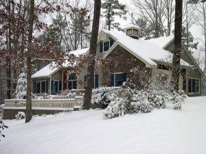 Winter 1.jpg