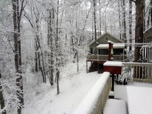Winter 3.jpg