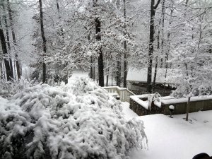 Winter 2.jpg