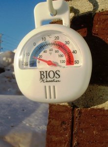 cold.jpg