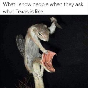 Texas yeaha.jpg