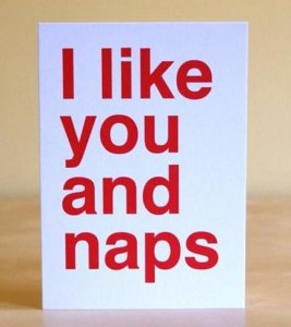 valentines-day-i-like-you-and-naps.jpg