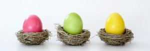 easter-nest-2164822_960_720.jpg