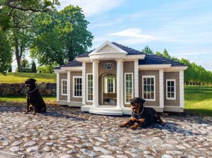 Kennel @.jpg