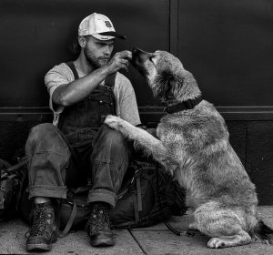 people-1495855_960_720.jpg