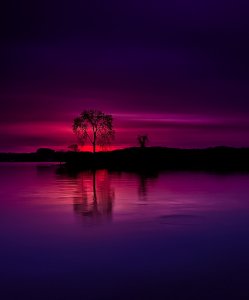 tumblr_973eb0fcfadee5b963e66064bd5ef723_c93cf83c_540.jpg