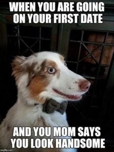 handsome.jpg