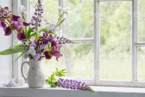 istockphoto-590045388-1024x1024.jpg