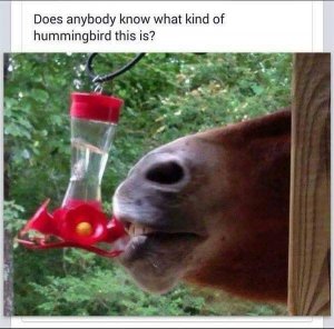 09C3679B-1136-4B9F-9C31-AABDEC717A89.jpeg