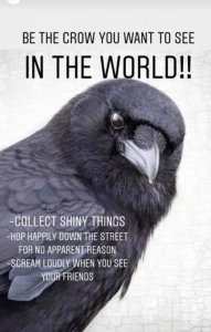 croww.jpg