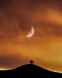 moon-4245400_960_720.jpg