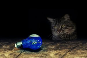 light-bulb-2816226_960_720.jpg