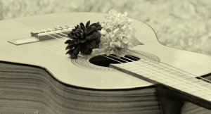 guitar-1585658_960_720.jpg
