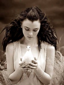 sepia dove bw.jpg