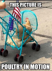 B464CC7B-6E0B-4C54-9DE2-F8AAC84C8F6F.jpeg