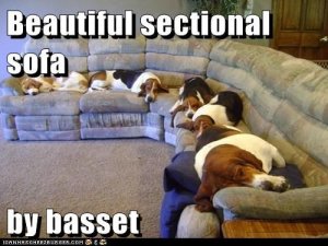 beautiful-sectional-sofa-by-basset.jpeg
