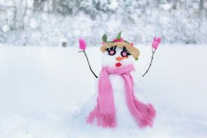 snow-woman-1224043_960_720.jpg