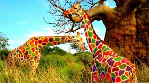 nature-animals-landscape-giraffes-wallpaper.jpg