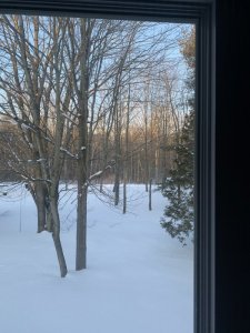 F5636377-875B-4EBA-9C88-1B18C5678B38.jpeg
