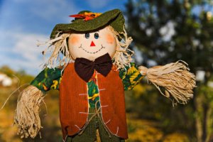 scarecrow.jpg