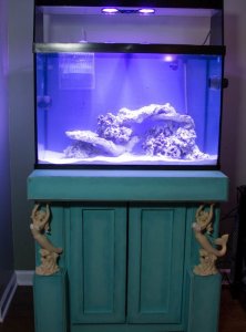 mermaidtank.jpg