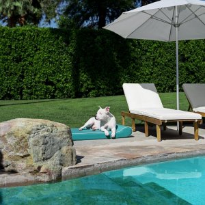 Hudson-Outdoor_Contour_Lounger-Teal2_sm.jpg