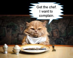 finicky-felines.jpg