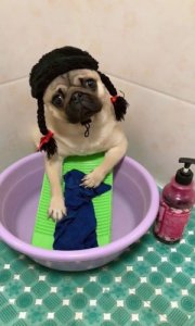 Washing @.jpg